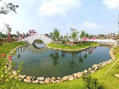 鱼塘变公园、村庄成景区,东莞寒溪水村绘就农村美景
