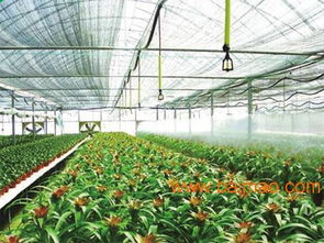 压力补偿式滴头厂家优选润通节水灌溉,压力补偿式滴头厂家优选润通节水灌溉生产厂家,压力补偿式滴头厂家优选润通节水灌溉价格