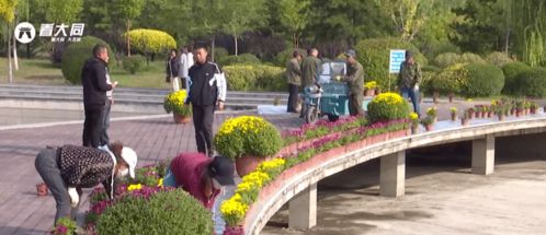 御河生态园第三届金秋花展筹备中