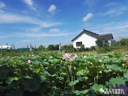 侬不晓得了吧,金山现在了不得了......