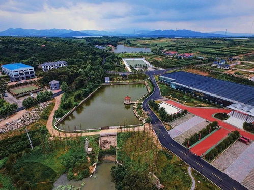 文登 三农 大丰收 十三五 成就巡礼 六