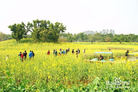 畅游鼎湖沙浦镇天湖生态园