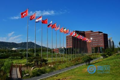 中德生态园集聚强劲带动力,助力青岛西海岸新区稳健发展!