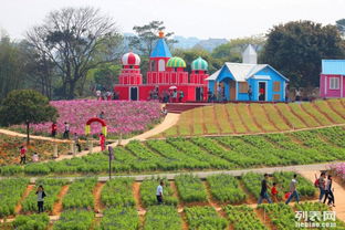 东莞松湖生态园团队旅游休闲度假田园生活户外农家乐