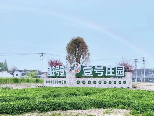 张家港人春天最正确的打开方式 马上出发