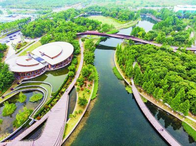 南京河西城市生态公园打造&ldquo;水域仙境&rdquo;