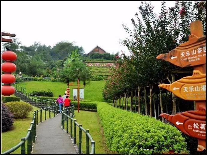 明天,乐山大佛、峨眉山景区门票半价!全市还有多个景区免费哦!