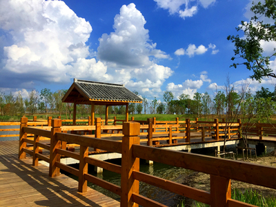 苏州平望镇释放创新力 构筑现代产业发展体系