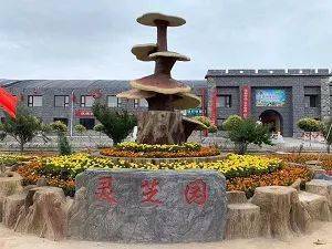 吴忠乡村休闲游路线攻略