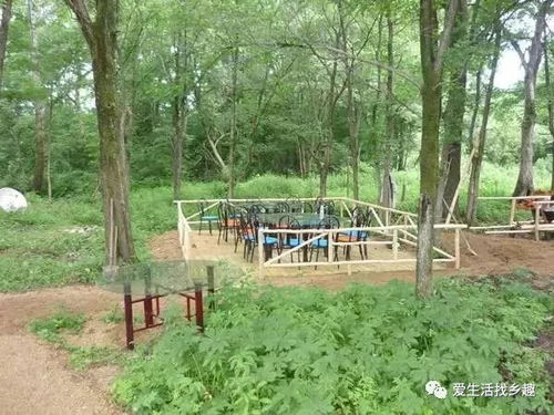 乡村迪士尼：生态园趣味十足