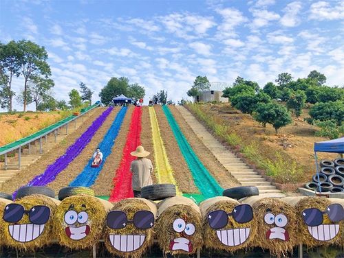 凤岗农业生态园 省级休闲农业与乡村旅游示范点的璀璨明珠