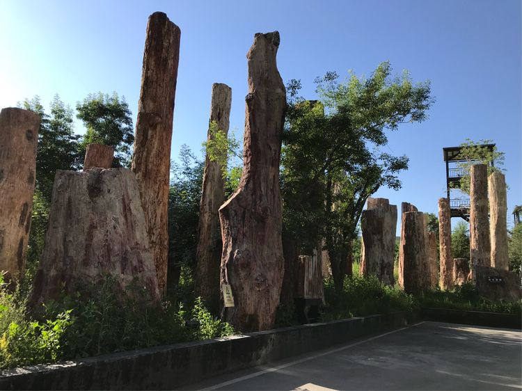 探秘乌鲁木齐野马古生态园 自然与历史交融的生态奇境