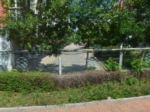 生态园八区 城市绿肺中的生态奇迹