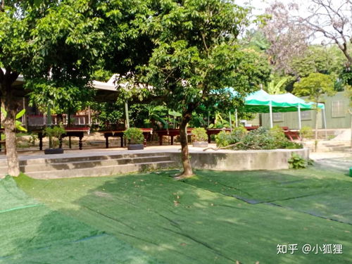 东莞万荔生态园 企业团建年会与休闲游玩的理想去处