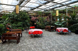 宁安农场生态园 自然与农业的和谐共生