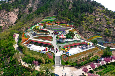 免费游花海!第三届青岛花卉博览会今日在生态园盛大启动