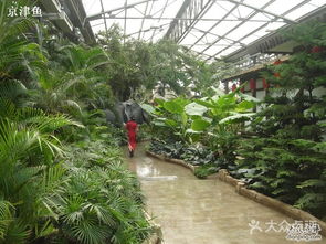 银东生态园 江南水乡的诗意画卷