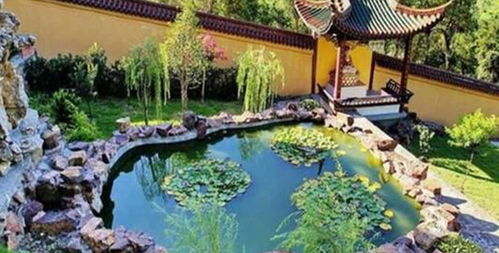 杨氏草莓生态园门票预订攻略 价格、渠道与游玩指南