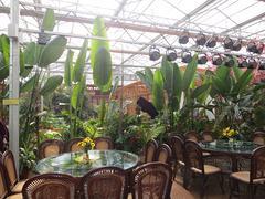 甘肃金石园林景观工程公司 石嘴山生态园优质产品图片供应