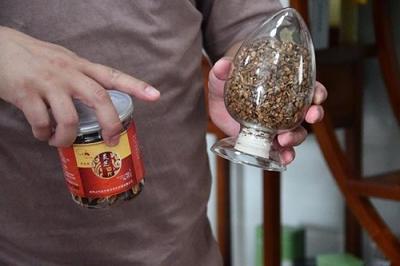 江财财税学子探访井冈山益生缘 探索灵芝生态产业链与乡村振兴新路径