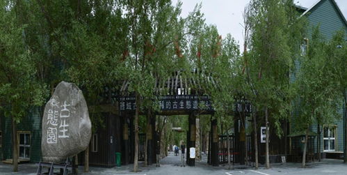 新疆古生态园 穿越时空的自然奇观与生态宝库