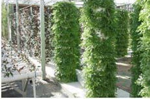 山东专业温室生态园建设指南 从规划到落地的全方位解析