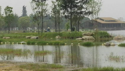 胜地公园 吴江最大的生态园，自然与人文的完美融合