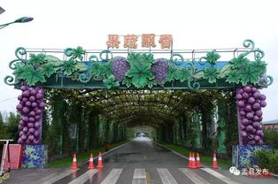 山西华北奕丰生态园特色农产品及旅游产品推介会盛大启动