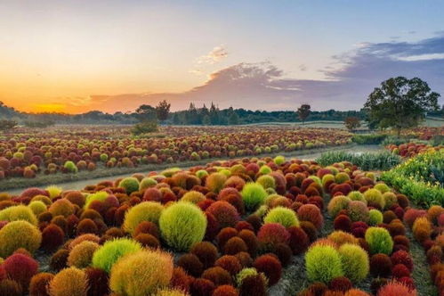 长三角文旅一体化再结硕果 2022年生态主题专项旅游产品权威发布